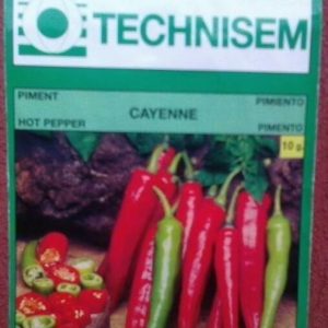 Hybrid Long Chili Red Pepper Seed