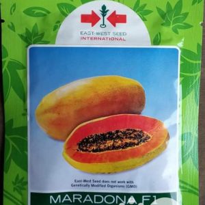 Maradona F1 Semi Dwarf Hybrid Pawpaw Seed